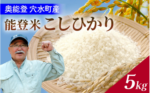 【令和8年産 先行予約】奥能登 穴水産 こしひかり 5kg【2026年10月以降順次発送】 /  5kg 無洗米 減農薬 奥能登 能登半島 コシヒカリ 白米 こめ コメ 送料無料