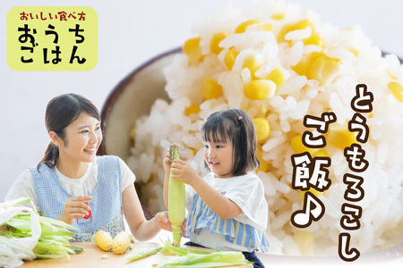 【先行予約】 生食も！高糖度！もぎたて！ フルーツトウモロコシ「イエローコーン」（2025年6月下旬～発送）