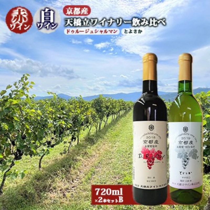 【ふるさと納税】 赤ワイン ・ 白ワイン 京都産 天橋立ワイナリー 飲み比べ 720ml×2本セットB（ 2022ドゥルージュシャルマン やや甘口 、とよさか 甘口 ）　【 お酒 晩酌 家飲み 宅飲み ブドウ酒 生ぶどう100％ フレッシュ フルーティー まろやか 芳醇な香り 酸味 柑橘系 】