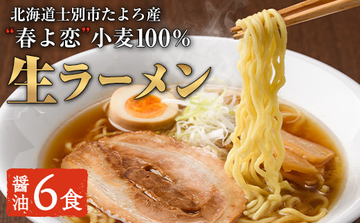 
                  北海道士別市たよろ産「春よ恋」100％使用 旭川生ラーメン「結」 (6食) 拉麺 麺 小麦麺 生麺 醤油ラーメン 醤油味 冷凍 【合同会社人考研】【B7114】
                