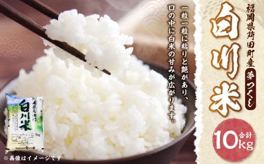 【新米先行予約】白川米 ( 夢つくし ) 合計10kg（5kg×2袋） お米 白米【2025年10月下旬から順次発送予定】