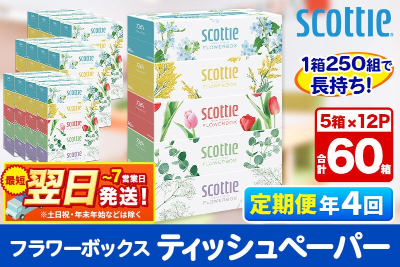 
                  《3ヶ月ごとに4回お届け》定期便 ティッシュペーパー スコッティ フラワーボックス250組 60箱(5箱×12パック) ティッシュ 最短翌日発送 [ティッシュ スコッティ(SCOTTIE) スコッティティシュー 定期便]
                
