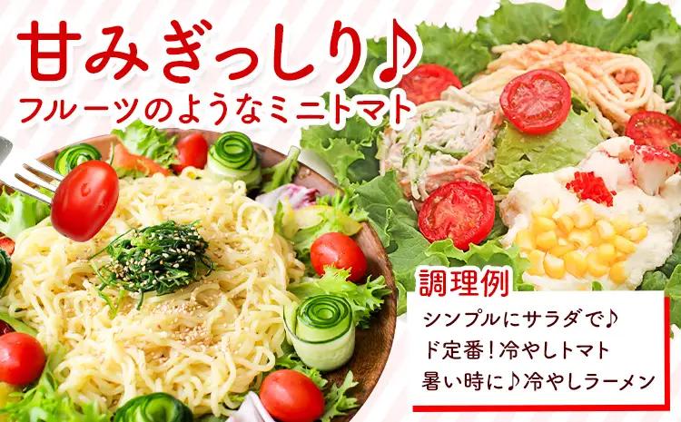 ミニトマト アイコ 約3kg ますだふぁーむ《7月上旬-11月末頃出荷》熊本県 南阿蘇村 アイコトマト 野菜 旬 夏野菜 トマト