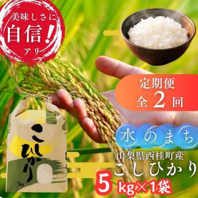 ふるさと納税 西桂町 【毎月定期便】山梨県西桂町産 富士山麓「水のまち」のこしひかり精米 5kg×1袋全2回