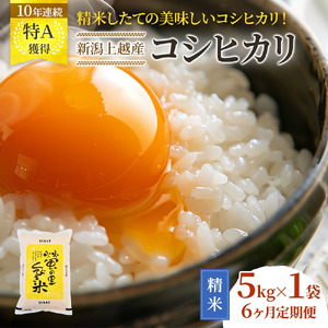 令和8年産 先行予約 新潟県産 コシヒカリ 5kg×6回 6か月 定期便 30kg 30キロ 米 精米 新米予約 こしひかり おすすめ 新潟 上越産 上越市 蛍の里 くびき米 お届け：令和8年10月上旬から順次発送