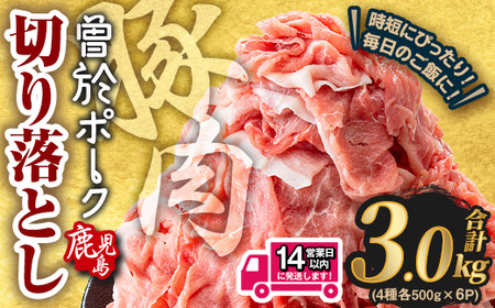 鹿児島県産 豚肉 切り落とし (計3.0kg)【Rana】A1016