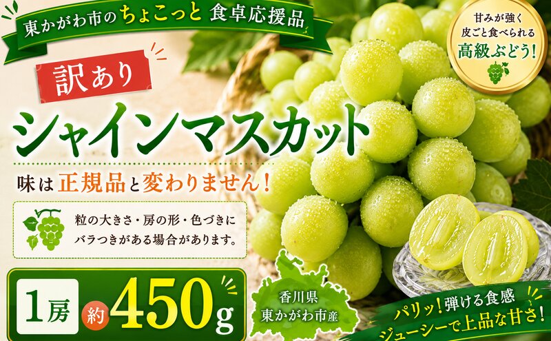 東かがわ市のちょこっと食卓応援品「訳ありシャインマスカット1房（約450g）」