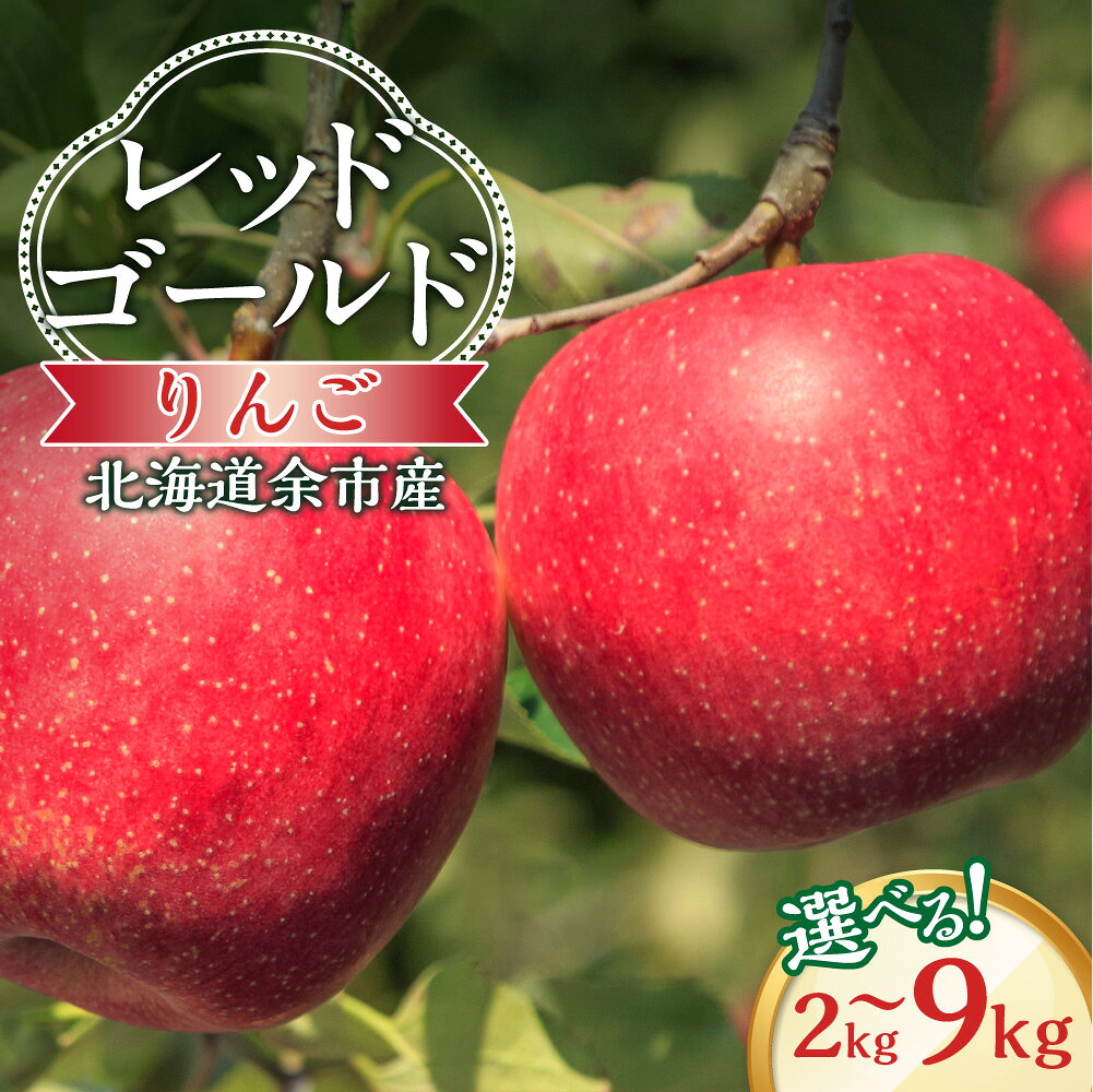 【ふるさと納税】【先行予約2026年10月中旬より発送】 ＼ 内容量が選べる ／りんご（レッドゴールド）2kg 2.8kg 5kg 9kg【北海道余市町産】 北海道りんご 酸味少ない 甘口りんご ジューシー 果肉やわらか しゃりっとした食感 秋の味覚 北海道 余市町 送料無料