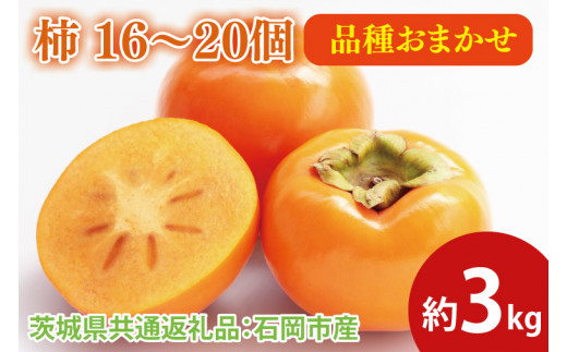 柿 約3kg 16～20個（茨城県共通返礼品：石岡市産）※2024年9月上旬～12月下旬頃に順次発送予定（CD076）