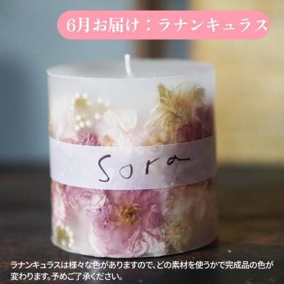 ふるさと納税 弘前市 《定期便全4回》配送月固定 ボタニカル キャンドル  全4個|24_sra-070104 |  | 02