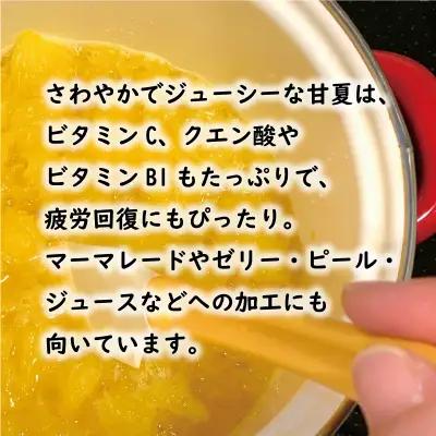 【先行予約：2026年12月中旬～発送】訳あり 甘夏 10kg くらもとファーム 愛媛県 愛南町