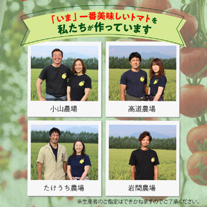 なまら十勝野の 旬 の 完熟 トマト を3~4品種 詰め合わせた 食べ比べ セット 野菜  北海道産 贈り物 お取り寄せ とまと カラートマト おまかせ アイコ ミックス もぎたて リコピン 新鮮 朝