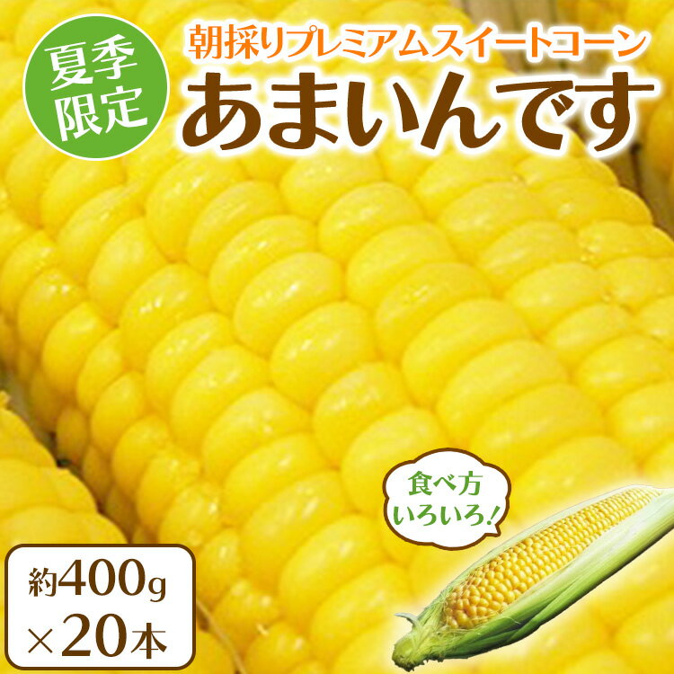 【ふるさと納税】夏季限定 朝採り プレミアムスイートコーン 「あまいんです」 20本 約8kg | 激甘 フルーツとうもろこし 産地直送 ※沖縄・離島への配送不可