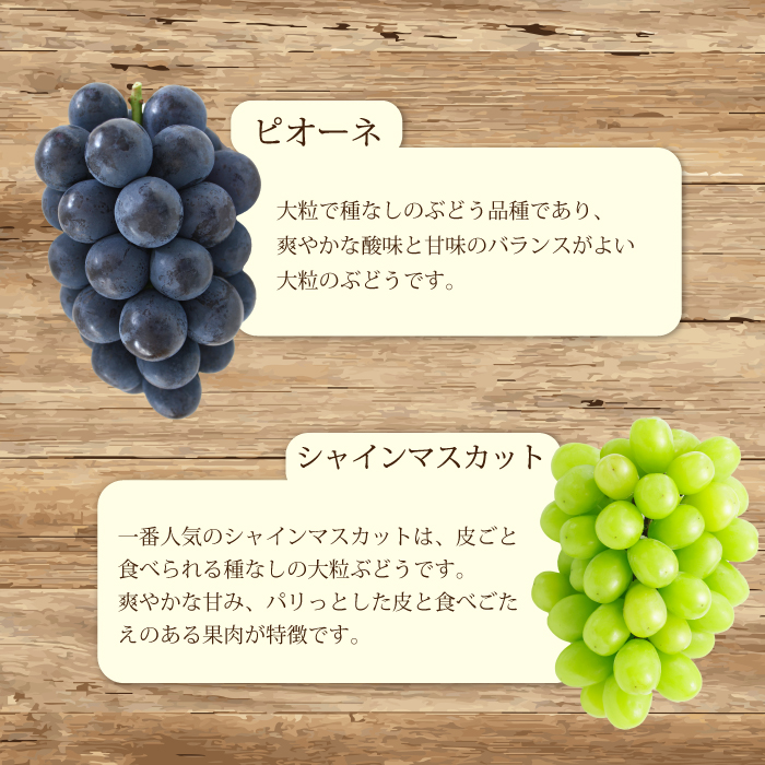【先行受付】農園自慢のぶどうを食べくらべ♪シャインマスカット1房おまかせぶどう1房 2025年9月下旬発送予定 果物 くだもの フルーツ ブドウ 葡萄 202006