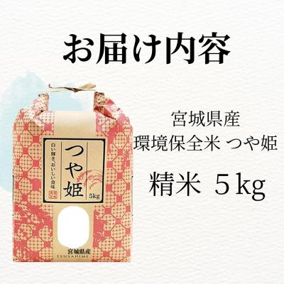 ふるさと納税 東松島市 【 令和7年産】【数量限定】【新米】 つや姫 精米 5kg × 1袋 つやひめ 米 ご飯 |  | 03