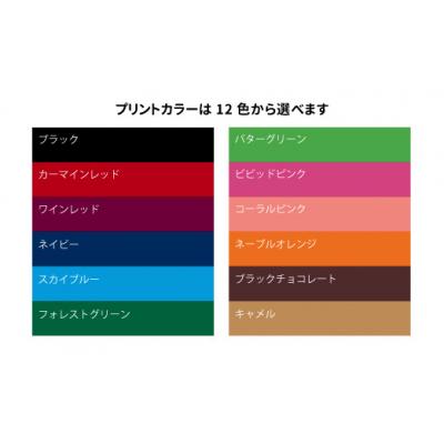 ふるさと納税 関市 【オウンネーム】PHYZ ファイズ ゴルフボール　パール ピンク 1ダース |  | 01