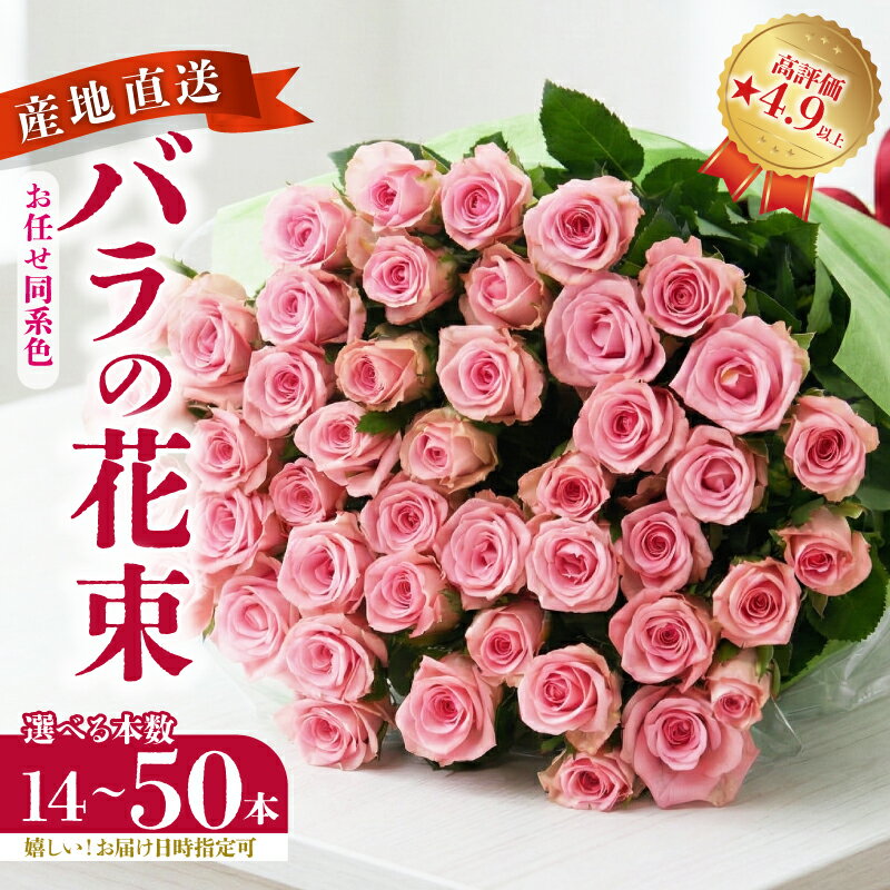 【ふるさと納税】 生産者直送！バラの花束 14本 20本 50本 色同色 おまかせ 日時指定可 バラ 生花 薔薇 花束 フラワーアレンジメント 記念日 誕生日 クリスマス 母の日 父の日 ギフト プレゼント 花 同色系 plan002_01 G02_03 G04_01