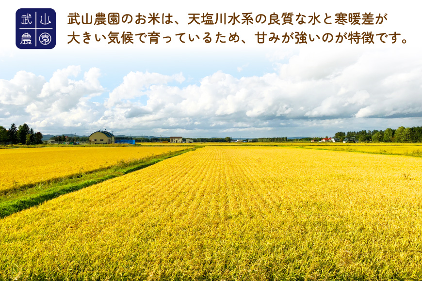 米 新米 令和8年 ななつぼし 10kg [武山農園 北海道 剣淵町 14656414] 令和8年産 白米 精米 ご飯 ごはん コメ こめ 国産 10キロ