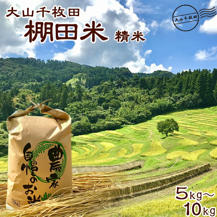 【ふるさと納税】【棚田保全支援】大山千枚田の天水田育ち『棚田米』5kg／10kg《精米》　[0017-0026]