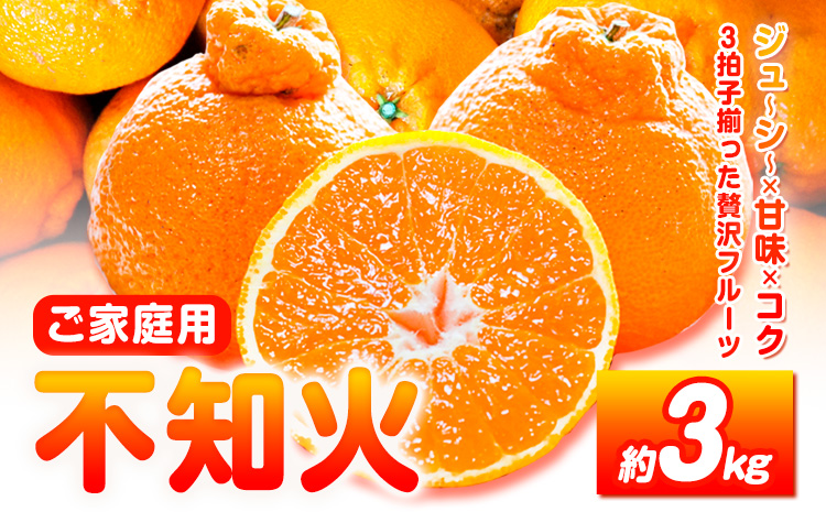 【先行予約】【ご家庭用】紀州有田産 不知火 (しらぬひ)  約3kg 株式会社魚鶴 《2月中旬-3月中旬頃出荷》 和歌山県 日高川町 不知火 みかん 柑橘 果物 フルーツ デコポン と同品種 でこぽん 訳あり不知火 訳ありデコポン 訳あり