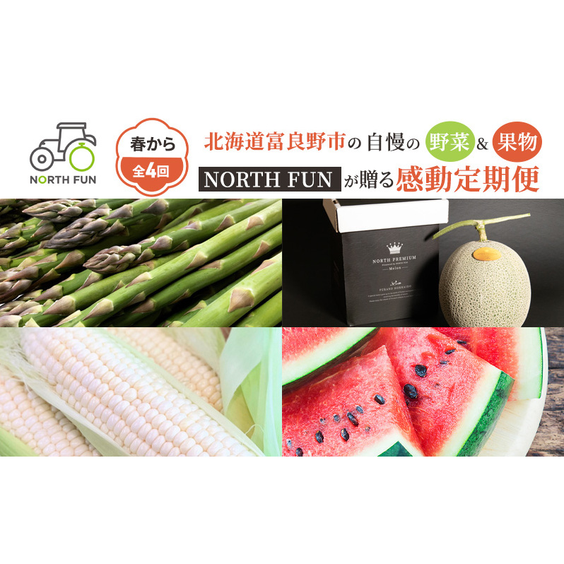 【2026年春から全4回】北海道富良野市の自慢の野菜＆果物を春から贅沢に味わい尽くす！NORTH FUN が贈る感動定期便