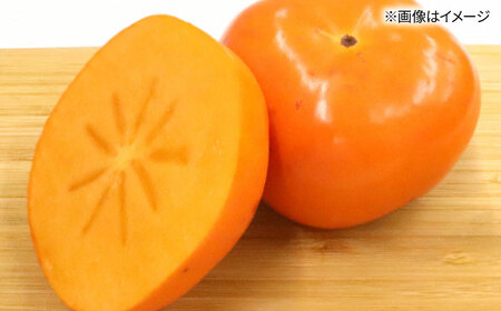 秋の贅沢、濃厚であま～い柿の新ブランド「秋王」約1.5kg こだわりの黒化粧箱／2026年10月～11月頃より発送予定[ADCF009]