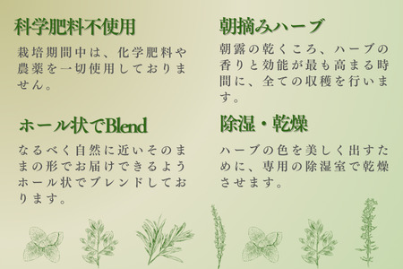 lehti ハーブティ　「黄金色の約束」20包［LF-115］