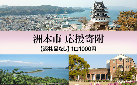 返礼品なし 洲本市応援寄附 ふるさと納税 寄附のみ 応援 淡路島 洲本市