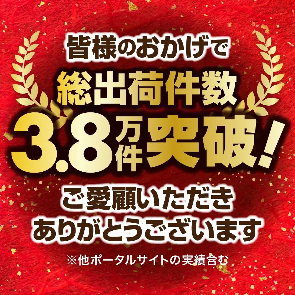 銀鮭 骨取り 子供も安心 600g 切落し [宮城県 塩竈市] 鮭