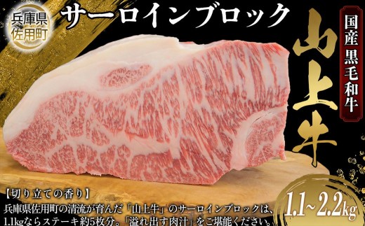 
                  【牧場直売店】兵庫県産黒毛和牛 サーロインブロック 牛肉 国産牛 山上牛 1.1kg 2.2kg
                