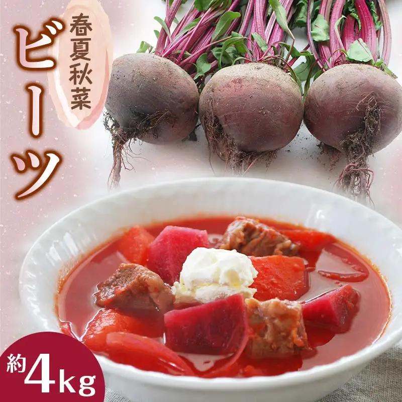 「春夏秋菜」ビーツ 4kg 2026年9月より順次発送 EB8-0202
