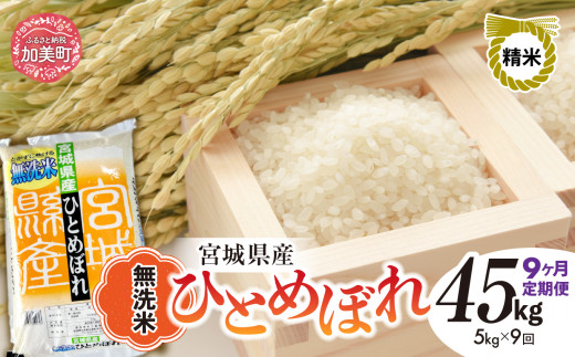 【9回 定期便】【新米予約】無洗米 令和8年産 宮城 ひとめぼれ 計45kg（5kg×9回）｜ 菅原精米工業 宮城県 加美町 sw-hb05-mu-t9-r8 ｜ ヒトメボレ 米 コメ ごはん お米