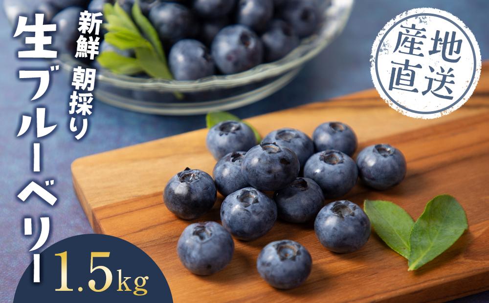 【2026年6月下旬～発送／先行受付】＜生産者直送＞新鮮朝取り生ブルーベリー1.5kg