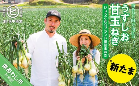 淡路島産新玉ねぎ　うずしお甘玉ねぎ　5kg　◆配送2月下旬～6月下旬