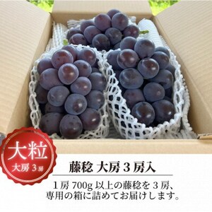 【きよとうファーム】ボッケーネ(藤稔)ずっしり大房の満足便! 3房入(1房700g～)(岡山県産)【配送不可地域：離島】【1633076】