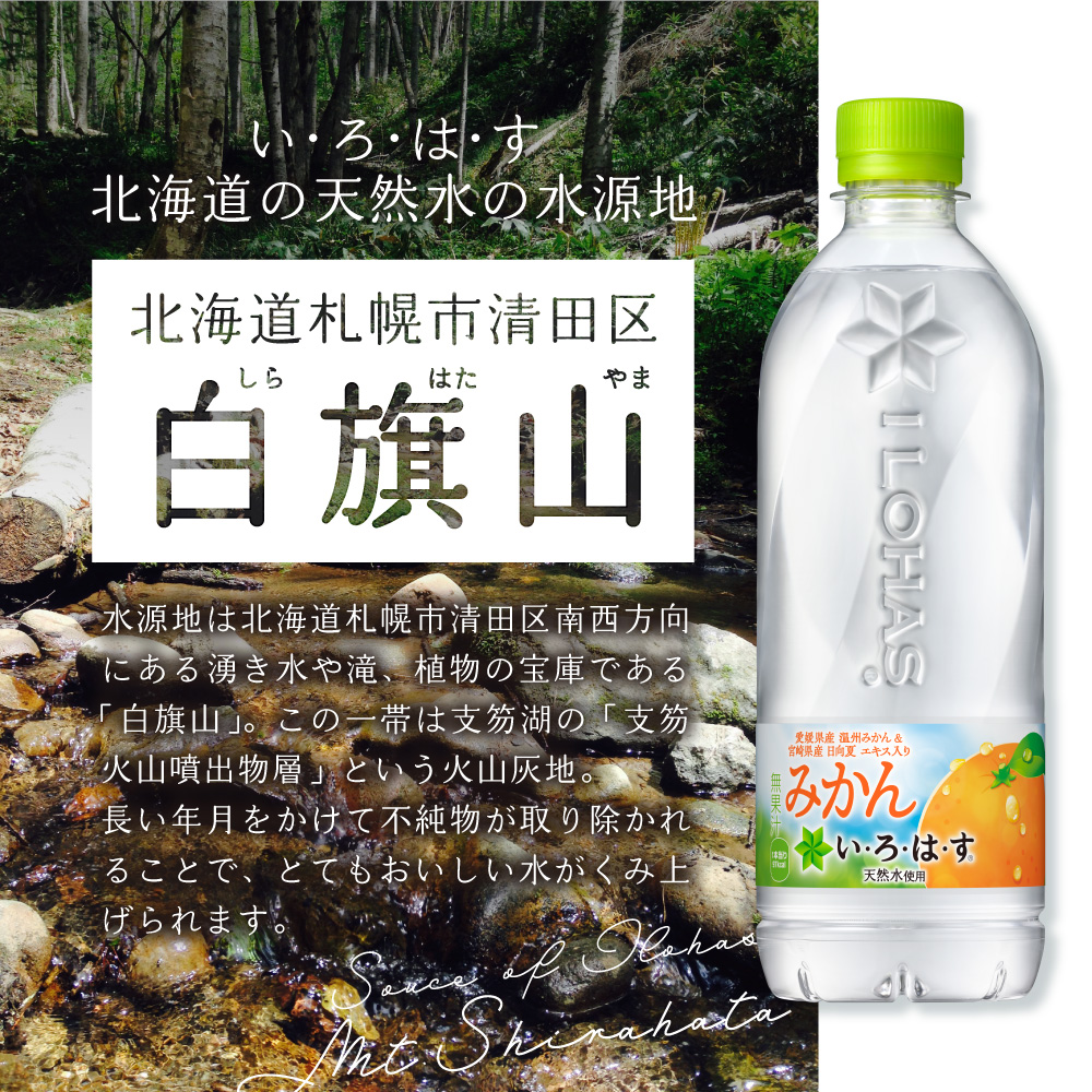 【３ヶ月定期便】い・ろ・は・す みかん　540mlPET×48本｜コカ・コーラ 飲料 ドリンク 飲み物 水 いろはす 北海道 札幌市