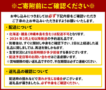 ＜先行予約受付中！2026年2月上旬より順次発送予定＞福岡県産 あまおう (計1kg・250g×4P) いちご イチゴ 苺 ストロベリー 果物 フルーツ おやつ デザート 1000g 4パック 冷蔵【