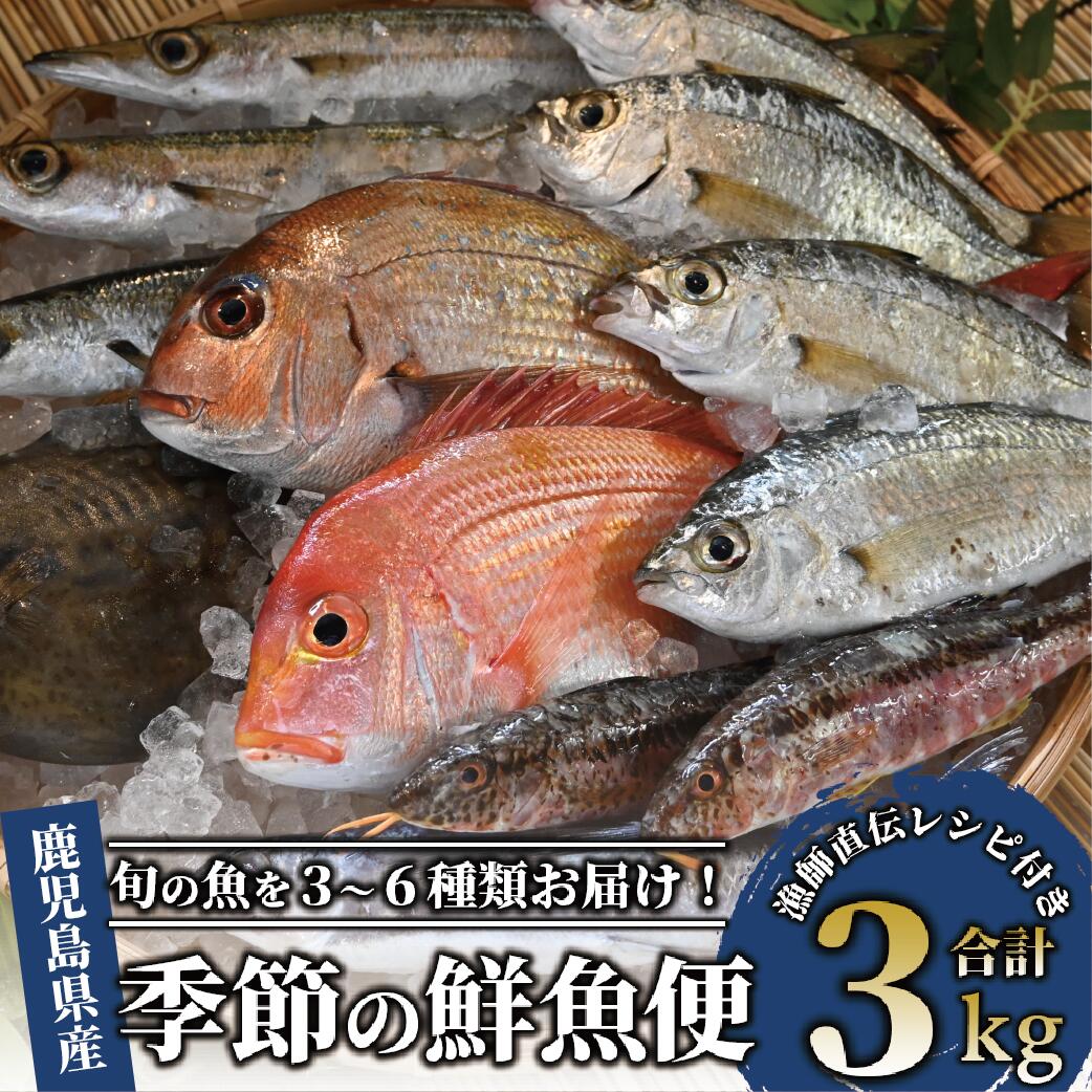 【ふるさと納税】＜指宿産直便＞漁師が選ぶ季節の鮮魚便お試しセット(3〜6種・合計約3kg) 魚 鮮魚 鮮魚ボックス お楽しみボックス 刺身 さしみ 刺し身 【指宿山川水産合同会社】