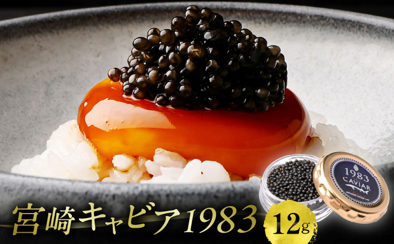 
                  【日時指定可能】宮崎キャビア1983 (12g)_M017-035_01
                