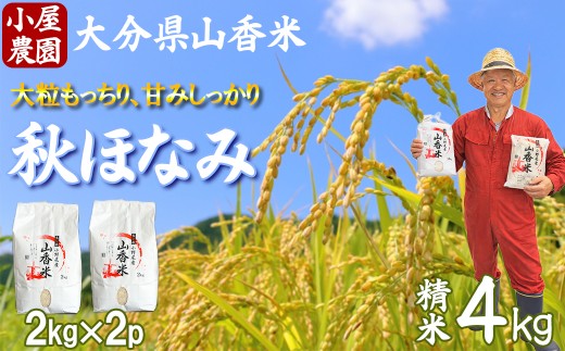 新米 先行予約 令和8年産 精米 (秋ほなみ) 4kg 【小屋農園】 2026年産 ＜159-025＞
