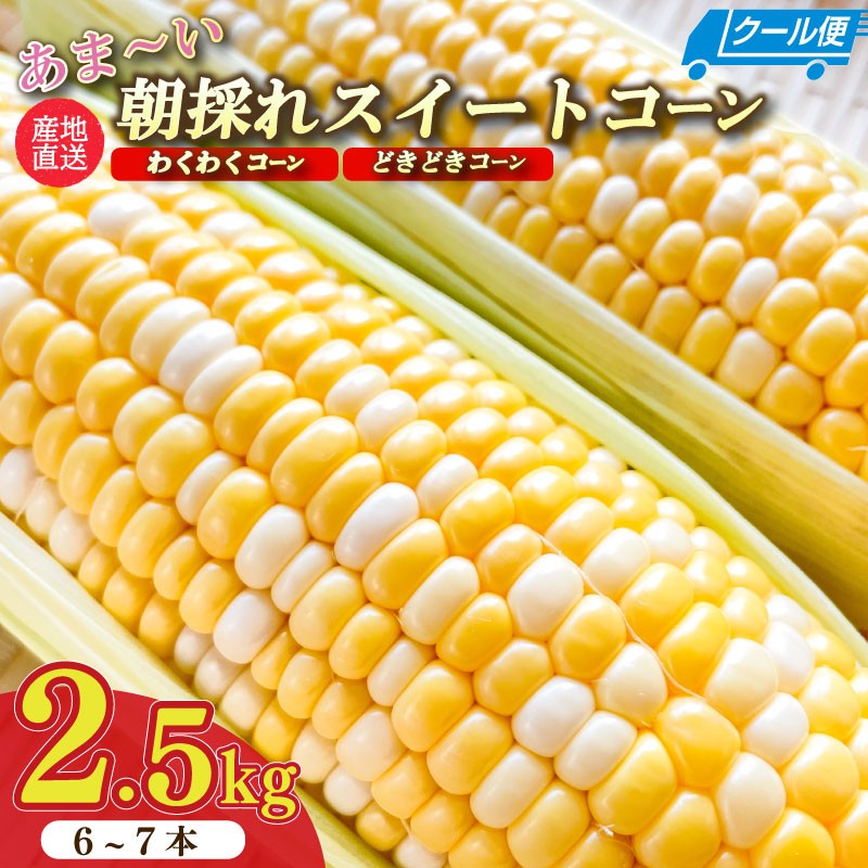 
                  【予約受付令和8年6月から発送開始】 とうもろこし 朝採れ 野菜 スイーツ わくわくコーン どきどきコーン 6 ～ 7 本 約 2.5㎏ 糖度18 ~ 19度 予約受付 予約 甘い あまい レジャー キャンプ コーン 美味しい おいしい 野菜 バーベキュー BBQ 産地直送 新鮮 朝どれ おやつ 送料無料 期間限定 数量限定 限定 スイートコーン 静岡県 牧之原市 もろこしショップ ぐりぱ
                