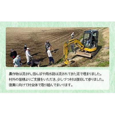 ふるさと納税 戸沢村 復興応援米 令和7年度 山形県戸沢村産 雪若丸 10kg(5kg×2) 精米 F7W-0122 |  | 03