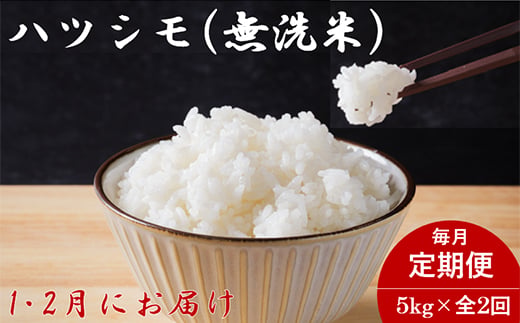
                  ＜発送月固定定期便＞＜先行予約＞生産者応援!岐阜県産ハツシモ(無洗米)5kg＜1・2月発送＞全2回【4073315】
                