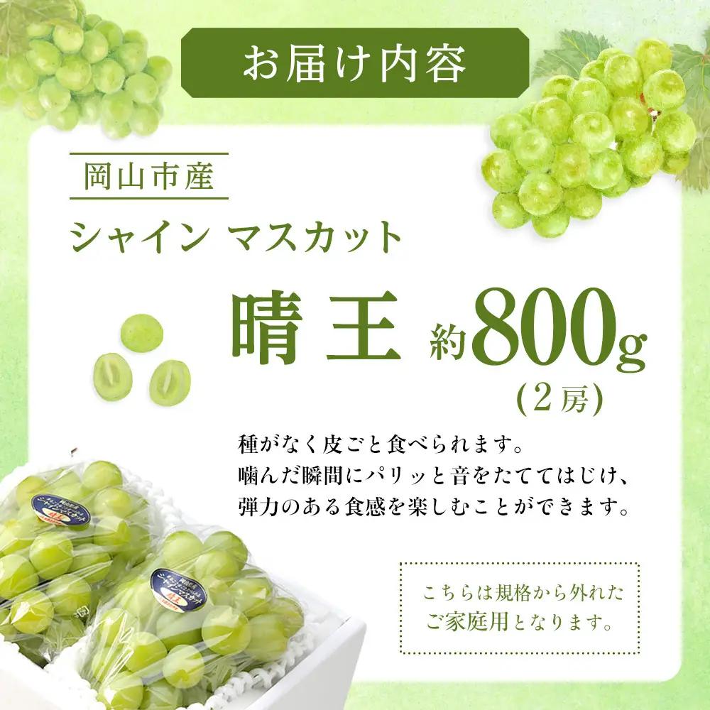 ぶどう 2026年 ご家庭用 シャインマスカット 晴王 約400g×2房 葡萄  岡山県産 国産 フルーツ 果物 | シャインマスカット