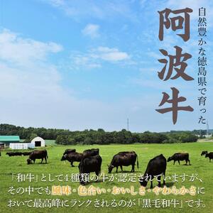 阿波牛のきわみ「一貫牛」ロースステーキ（5枚）計1.1kg
