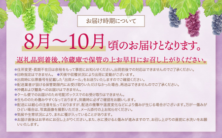 P20-03 季節のぶどう3種セット 約1.5kg ぶどう 葡萄 福岡県 福智町産 ブランド 果実 送料無料 《予約受付》 フルーツ ぶどう 葡萄 シャインマスカット ピオーネ クイーンニーナ ナガノ