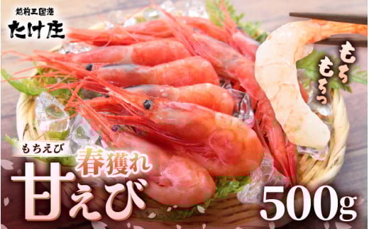 【先行予約 2026年4月より順次発送予定】甘えび（もちえび）500g × 1袋 【甘海老 あまえび アマエビ えび 海老 有頭 刺身 生食 海鮮 海産物 魚貝類 魚介類 新鮮 冷凍 食品 おかず 三国】 [A-1615]