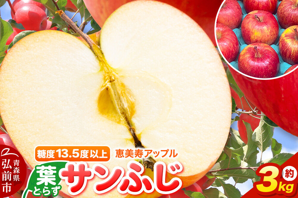 【26年12月発送】りんご 葉とらず サンふじ【家庭用】約3kg 糖度13.5度以上 先行受付 青森県 弘前市 果物 フルーツ 林檎 リンゴ くだもの 不揃い 規格外 [先行予約 産地直送 アップル 