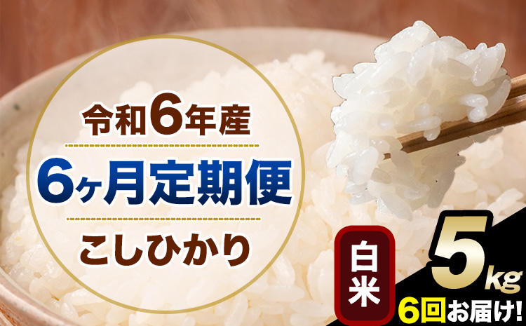 【6ヶ月定期便】令和6年産 定期便 こしひかり 白米 定期便 5kg 精米 熊本県産(南阿蘇村産含む) 単一原料米 南阿蘇村《申込み翌月から発送》---kh6tei_90000_5kg_mo6_mna_h---