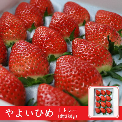 【ふるさと納税】やよいひめ(いちご)約380g×1トレー【配送不可地域：離島・沖縄県】【1706256】